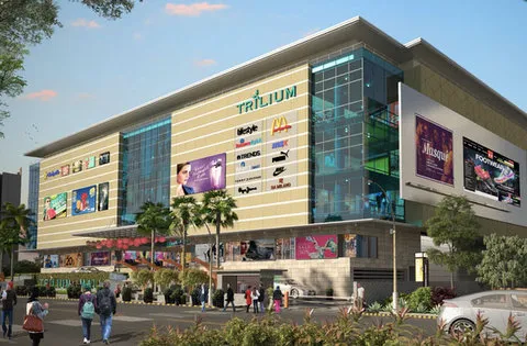 commercial Project